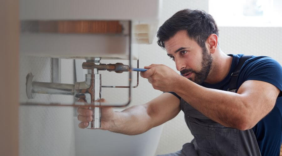 Trap Repair/Replacement in Breckenridge, MI